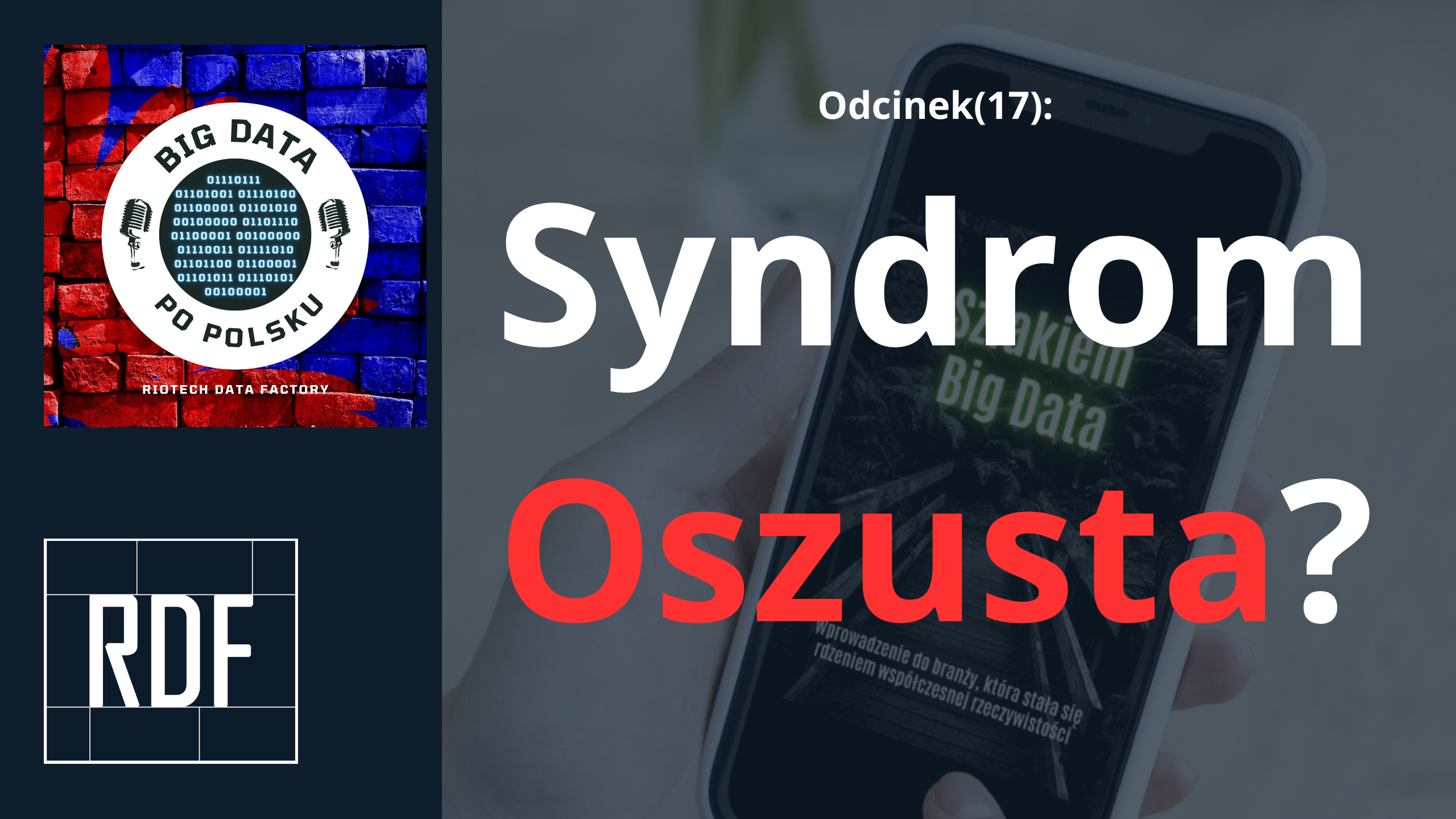 Odcinek(17) – Furtka do Big Data. Jaki jest pierwszy polski ebook o branży danych?